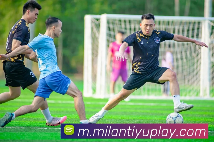 多媒体互动体验